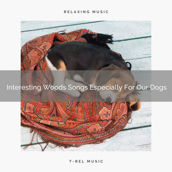 Dog Total Relax - Interesting Woods Songs Especially For Our Dogs
