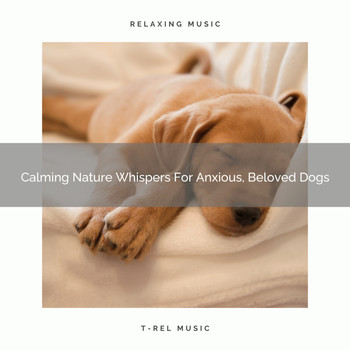 Dog Total Relax - Calming Nature Whispers For Anxious, Beloved Dogs