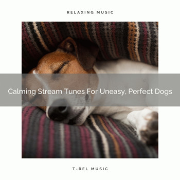 Pets Relax - Calming Stream Tunes For Uneasy, Perfect Dogs