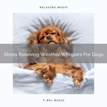 Dog Total Relax - Stress Relieving Weather Whispers For Dogs