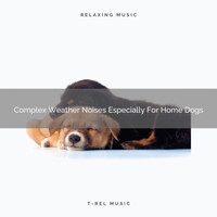 Dog Total Relax - Complex Weather Noises Especially For Home Dogs