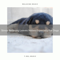 Dog Total Relax - Stress Relieving Leaves Noises Especially For Dogs