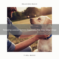Dog Total Relax - Relaxing Leaves Noises Especially For Your Dear Dogs