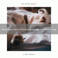 Dog Total Relax - Interesting Leaves Whispers Especially For Indoors Dogs