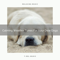 Dog Total Relax - Calming Weather Tunes For Your Dear Dogs