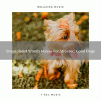 Dog Total Relax - Stress Relief Woods Noises For Stressed, Good Dogs