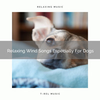 Dog Total Relax - Relaxing Wind Songs Especially For Dogs