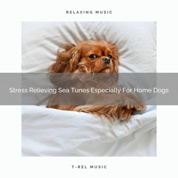 Dog Total Relax - Stress Relieving Sea Tunes Especially For Home Dogs