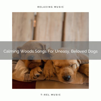 Dog Total Relax - Calming Woods Songs For Uneasy, Beloved Dogs