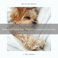 Dog Total Relax - Stress Relief Mother Earth Whispers For Stressed, Perfect Dogs