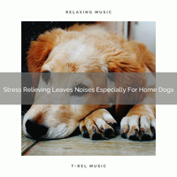 Dog Total Relax - Stress Relieving Leaves Noises Especially For Home Dogs
