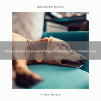 Dog Total Relax - Stress Relieving Leaves Whispers Especially For Indoors Dogs