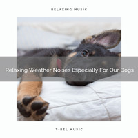 Dog Relax - Relaxing Weather Noises Especially For Our Dogs