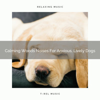 Pets Relax - Calming Woods Noises For Anxious, Lively Dogs