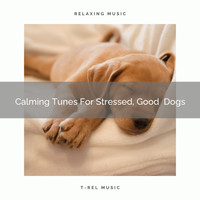 Pets Total Relax - Calming Tunes For Stressed, Good  Dogs