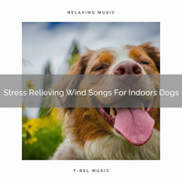 Dog Total Relax - Stress Relieving Wind Songs For Indoors Dogs