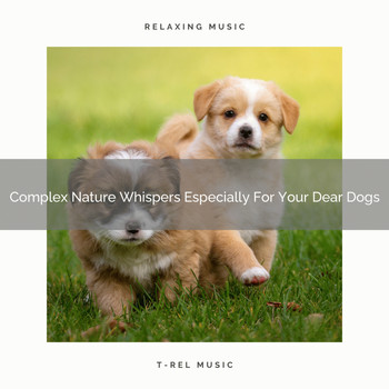 Dog Relax - Complex Nature Whispers Especially For Your Dear Dogs