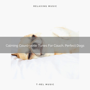 Pets Relax - Calming Countryside Tunes For Couch, Perfect Dogs