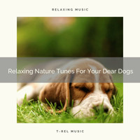 Dog Total Relax - Relaxing Nature Tunes For Your Dear Dogs