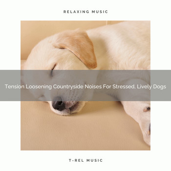 Pets Relax - Tension Loosening Countryside Noises For Stressed, Lively Dogs