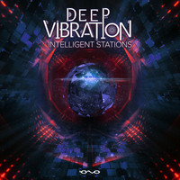 Deep Vibration - Intelligent Stations