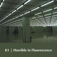 K1 - Horrible in Fluorescence