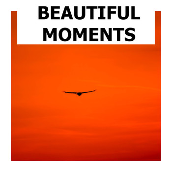 Relaxing Chill Out Music - Beautiful Moments Of Relaxation
