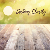 Masala Roo - Seeking Clarity