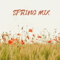 Koh Lantana - Spring Mix