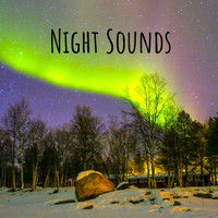 Koh Lantana - Night Sounds