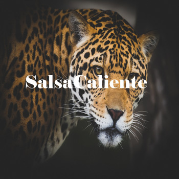 Various Artists - Salsa Caliente