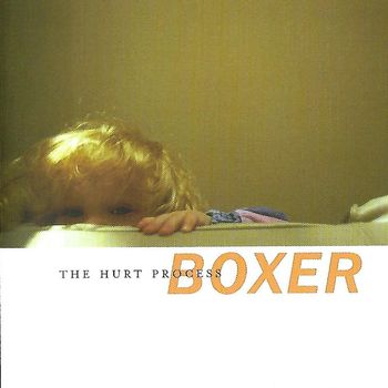 Boxer - The Hurt Process