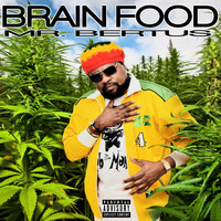 Mr. Bertus - Brain Food