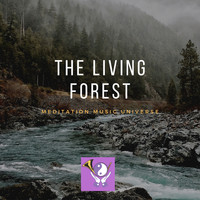 Meditation Music Universe - The Living Forest