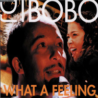 DJ Bobo & Irene Cara - What a Feeling