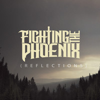 Fighting the Phoenix - Reflections