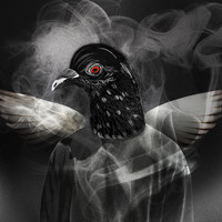 Adi - PIGEONHOLED (Explicit)