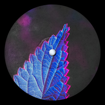 Obu - Thirty