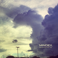 Mindex - Nap on the Rainy Day