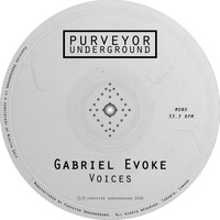 Gabriel Evoke - Voices