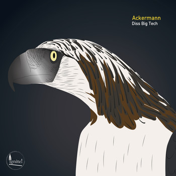 Ackermann - Diss Big Tech