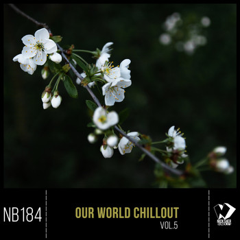 Various Artists - Our World Chillout, Vol. 5