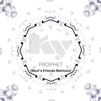 Studnitzky - Prophet (Best's Friends Remixes)