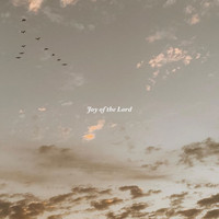 Derek Gust, Tayler Gust / - Joy of the Lord