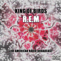 R.E.M - King Of Birds (Live)