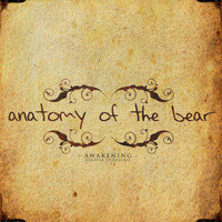 Anatomy of the Bear - Awakening