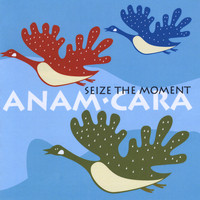 Anam Cara - Seize the Moment