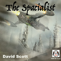 David Scott - The Spacialist