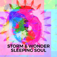 Storm & Wonder / - Sleeping Soul