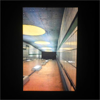 Batsch - Electricity